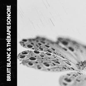 Bruit Blanc & Sonothérapie: La Nature EST Bruit - Dog Relaxation