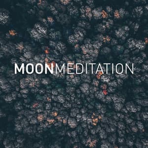 Yoga Music - Moon Tunes