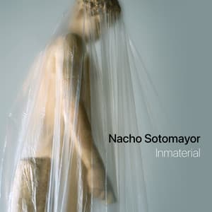 Inmaterial - Nacho Sotomayor