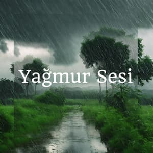 Yağmur Sesi: Meditasyon ve Zihinsel Huzur - Doğanın Müziği