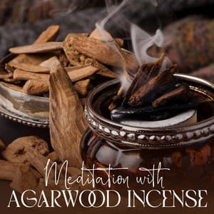 Intuition with Agarwood Incense - Luna Sun