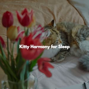 Kitty Harmony for Sleep - Quebec Jazz Trio
