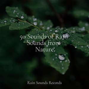 50 Sounds of Rain Sounds from Nature - Instrumental