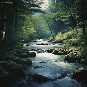 Water in the Wild: Nature's Calming Streams - Dips And Daps