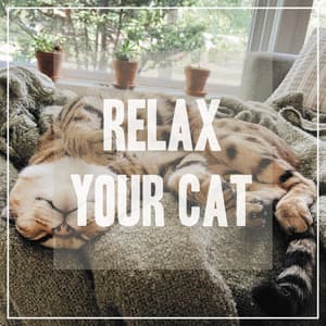Relaxing Songs for Cats - Pet Music