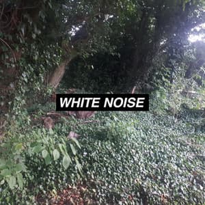 Stress Free White Noise - Singing Bowls of Tibet