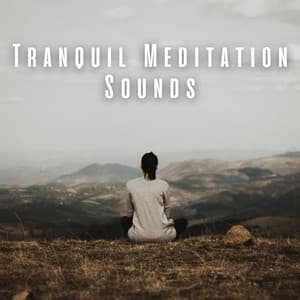 Tranquil Meditation Sounds - Morning Calm Playlist