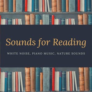 Sounds for Reading - White Noise, Piano Music, Nature Sounds - Reading Music