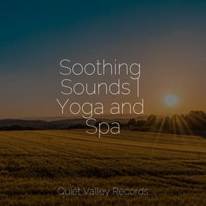 Soothing Sounds | Yoga and Spa - Avslappning Sound
