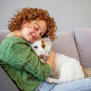 Piano Rain Harmony for Relaxing Pet Moments - Piano Dreamers