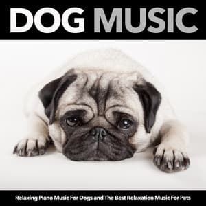 Dog Music: Relaxing Piano Music For Dogs and The Best Relaxation Music For Pets - Dog Music