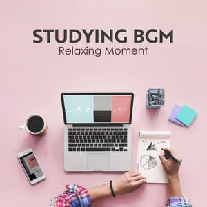 Studying BGM: Relaxing Moment for Brain Power - Study Music Guys