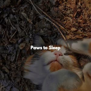 Paws to Sleep - Chilled Jazz Party