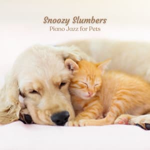 Snoozy Slumbers: Piano Jazz for Pets - Piano Jazz Collection