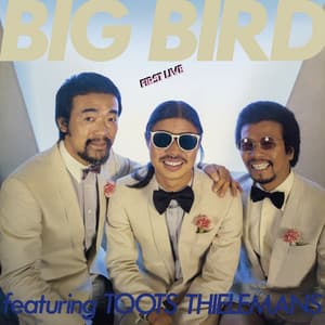 First Live - Big Bird