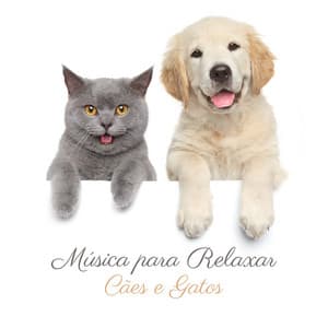Música para Relaxar Cães e Gatos - Academia de Música para Animais
