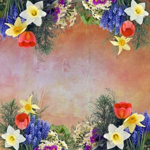 Feelings for Reclining Afternoons - Hotel Music