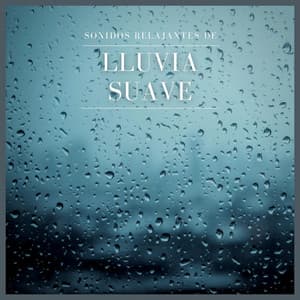 Sonidos Relajantes de Lluvia Suave - Relajación Natural Maestro