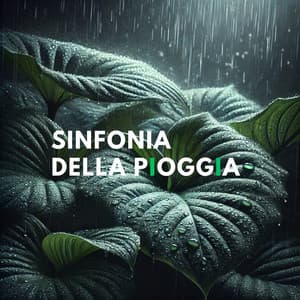 Sinfonia della pioggia: Giornata di consapevolezza dello stress con i suoni della pioggia - Pioggia Nocturna