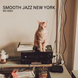 No Idea - Smooth Jazz New York