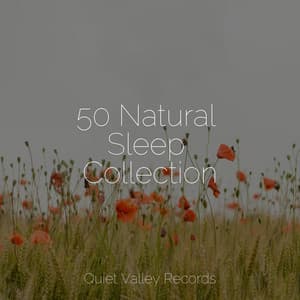 50 Natural Sleep Collection - FX & Effects