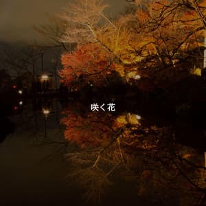 咲く花 - Classy Dinner Music