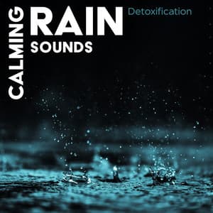 Calming Rain Sounds: Detoxification, Stress Relaxation, Calmness of Mind, Meditation Moments - Close to Nature Music Ensemble