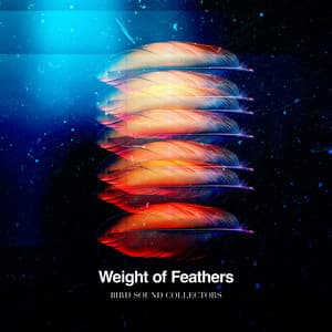 Weight of Feathers - Bird Sound Collectors