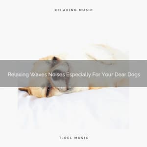 Relaxing Waves Noises Especially For Your Dear Dogs - Dog Relax