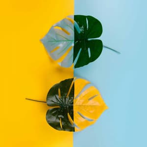 Feelings for Smooth Chilled Days - Naomi Mcbride Projects