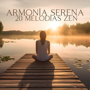 Armonía Serena: 20 Melodías Zen para Meditación, Yoga, Spa y Sueño Reparador - Área de relajación