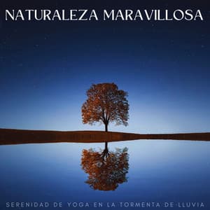 Naturaleza Maravillosa: Serenidad De Yoga En La Tormenta De Lluvia - Ambiente de Tormenta