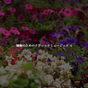 植物のためのクラシックミュージック 4 - Evening Jazz Bgm