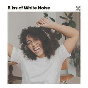 Bliss of White Noise - Background Ambiances