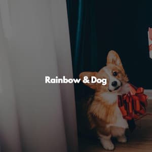 Rainbow & Dog - Jazz Rilassante Progetto
