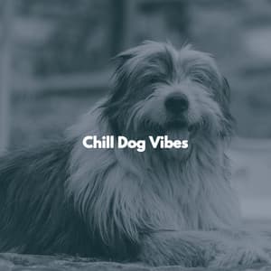 Chill Dog Vibes - Good Night Jazz