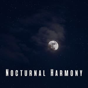 Nocturnal Harmony: Meditative Piano for Sleep - Piano Bar Lounge