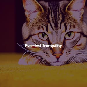 Purr-fect Tranquility - Slow Sax Jazz Classics