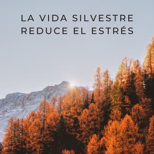 La Vida Silvestre Reduce El Estrés - Proyecto de ley de vida silvestre