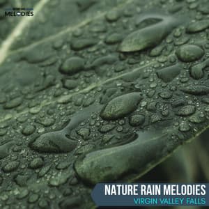 Nature Rain Melodies - Virgin Valley Falls - The Rain Library