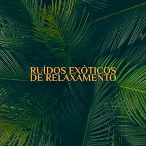 Ruídos Exóticos de Relaxamento: Belos Sons da Natureza para Reduzir os Sintomas de Ansiedade - Academia de Música para Massagem Relaxamento