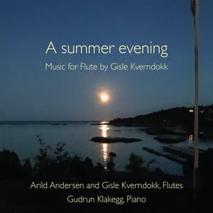 A summer evening - Gisle Kverndokk