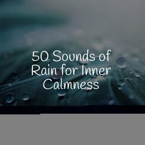 50 Sounds of Rain for Inner Calmness - Natural Samples
