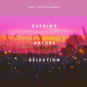Evening Nature Selection - Night Nature Sounds