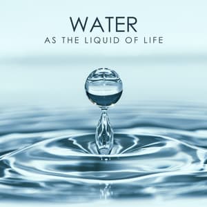 Water as the Liquid of Life: Beautiful & Pure Sounds of Water for Total Harmony and Balance - Calming Water Consort