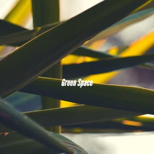 Green Space - Office Work Music