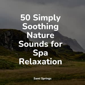 50 Simply Soothing Nature Sounds for Spa Relaxation - Rain Recorders