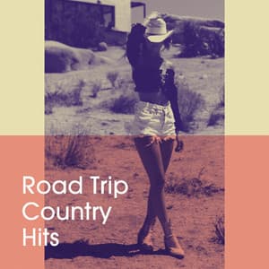 Road Trip Country Hits - The Country Music Heroes
