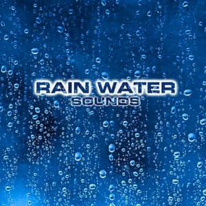 Rain Water Sounds - Rain Water Sounds