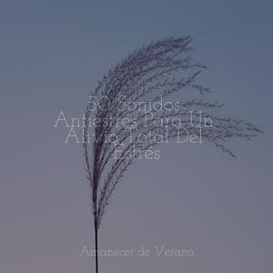 50 Sonidos Antiestrés Para Un Alivio Total Del Estrés - Yoga